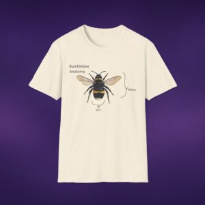 Bumblebee Anatomy Tee